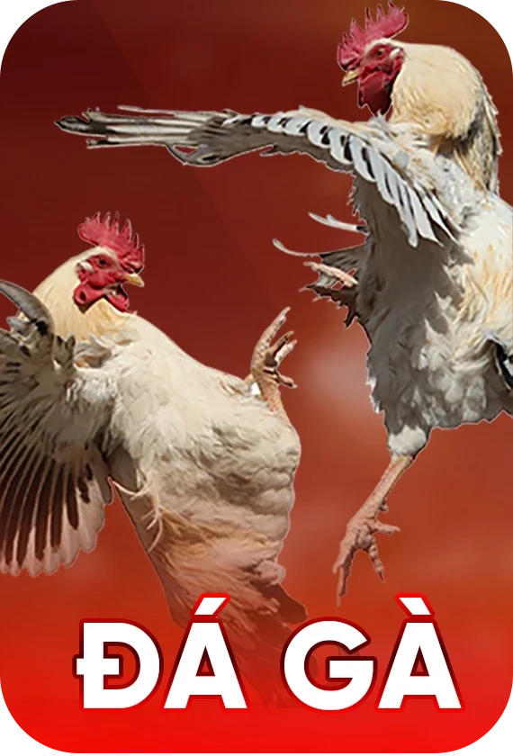 da-ga