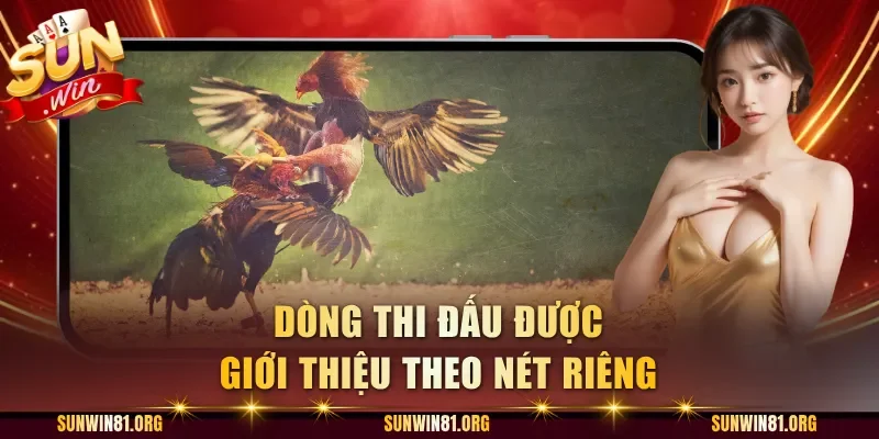 Dòng thi đấu được giới thiệu theo nét riêng