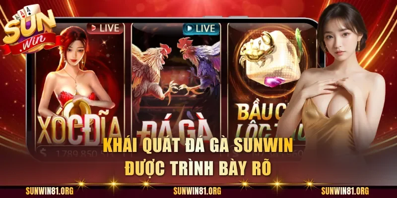 Khái quát đá gà Sunwin được trình bày rõ